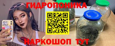 мяу мяу кристалл Обь