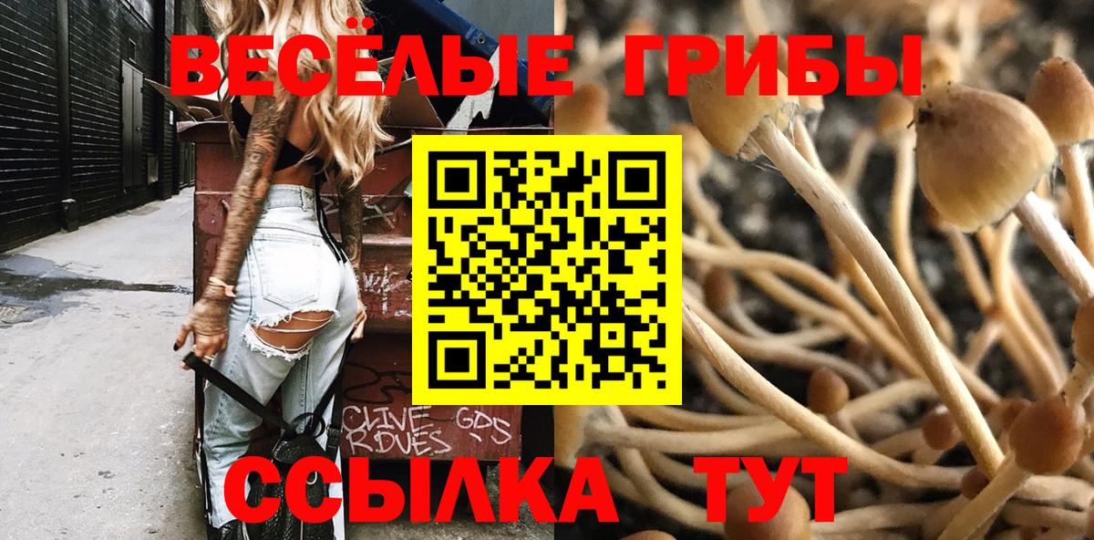 Галлюциногенные грибы MAGIC MUSHROOMS  закладки  Сорочинск  Вход с VPN 